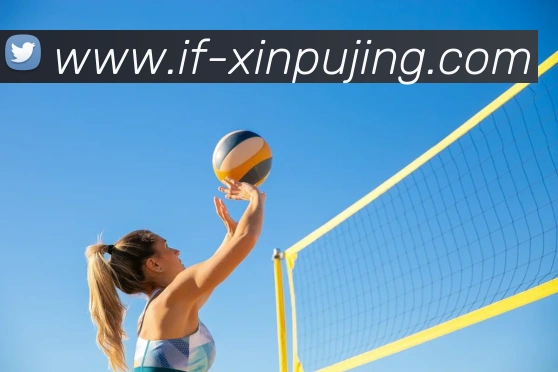 App Interface Preview